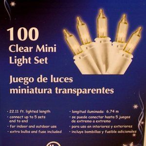 100 Mini Christmas Light Set Clear White